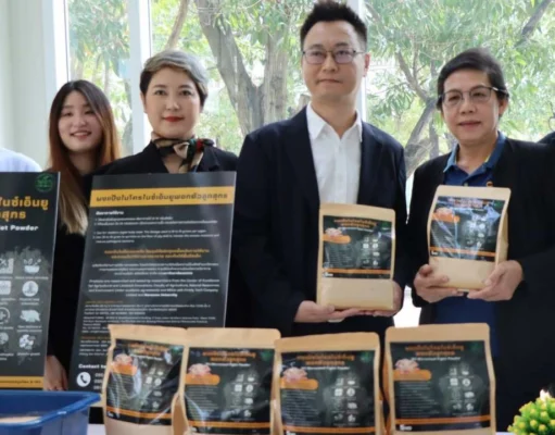 นวัตกรรมใหม่ “ผงแป้งพอกตัวลูกสุกรแรกคลอด” เพื่อลดการตายจากนักวิจัย ม.นเรศวร