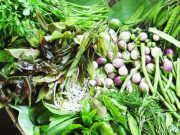 รสชาติผักพื้นบ้าน ช่วยเรื่องสุขภาพด้านไหนบ้าง?