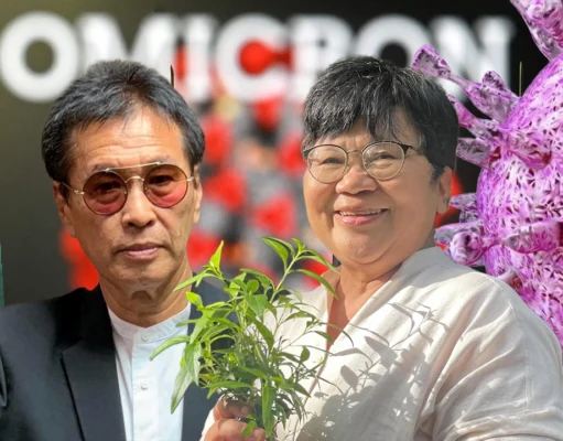 ยาไทยฟ้าทะลายโจร ภูมิปัญญา..สู้ยานอก