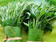 12 ผักพื้นบ้าน ต้านอนุมูลอิสระ ผักชะลอความแก่