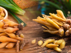 รอบรู้เรื่องกระชาย สมุนไพรไทยใกล้ตัวมีประโยชน์มากกว่าที่คิด !