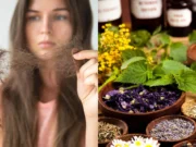 11 สุดยอดสมุนไพรไทย ช่วยบำรุงหนังศีรษะ แก้ปัญหาผมร่วง