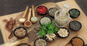 เปิด 5 ยาสมุนไพรไทยรสร้อน กินแล้วช่วยย่อย แก้ท้องอืด ท้องเฟ้อ