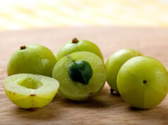 สมุนไพรบำรุงเลือด บรรเทาโรค “โลหิตจาง”