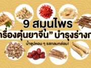 9 สมุนไพร “เครื่องตุ๋นยาจีน” บำรุงร่างกาย น้ำซุปหอม ๆ รสกลมกล่อม!