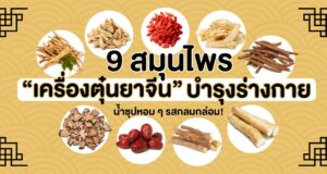 9 สมุนไพร “เครื่องตุ๋นยาจีน” บำรุงร่างกาย น้ำซุปหอม ๆ รสกลมกล่อม!