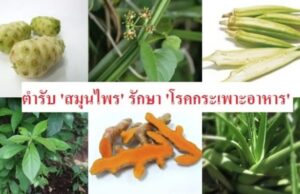 ตำรับ ‘สมุนไพร’ รักษา ‘โรคกระเพาะอาหาร’