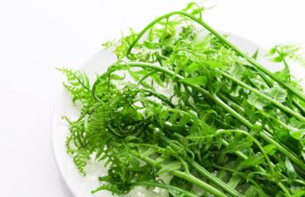 ประโยชน์ของผักกูด ไอเดียการกินการใช้ผักกูดเพื่อสุขภาพ และข้อควรระวัง