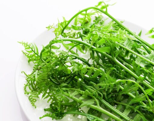 ประโยชน์ของผักกูด ไอเดียการกินการใช้ผักกูดเพื่อสุขภาพ และข้อควรระวัง