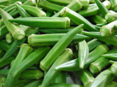 7 ประโยชน์ของ “กระเจี๊ยบเขียว” ที่คุณอาจไม่รู้