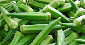 7 ประโยชน์ของ “กระเจี๊ยบเขียว” ที่คุณอาจไม่รู้