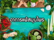 อาการแพ้สมุนไพร