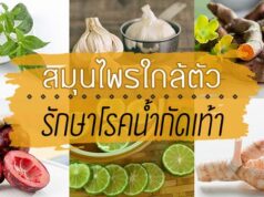 12 สมุนไพรใกล้ตัวรักษาโรคน้ำกัดเท้า ช่วยบรรเทาอาการได้ชะงัด !