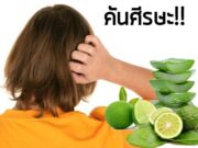 ถ้าคันศีรษะมากๆ ใช้สมุนไพรอะไร ระงับอาการคันได้