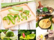 15 สมุนไพรแก้ผดผื่นคันหน้าร้อน หายได้ด้วยของดีใกล้ตัว