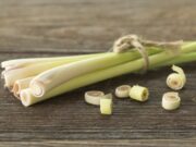 ตะไคร้ สรรพคุณและประโยชน์ของตะไคร้