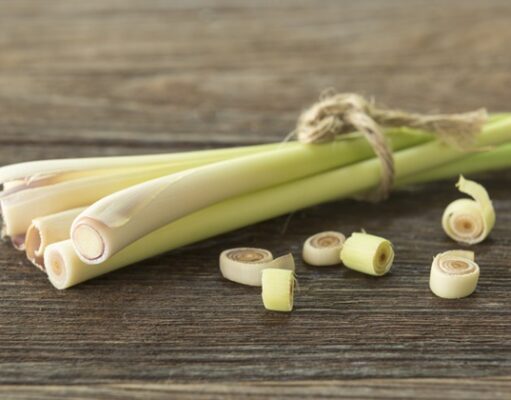 ตะไคร้ สรรพคุณและประโยชน์ของตะไคร้