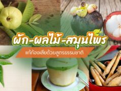 ผัก ผลไม้+สมุนไพรแก้ท้องเสีย บรรเทาถ่ายไม่หยุดด้วยสูตรธรรมชาติ