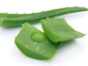 ประโยชน์ของว่านหางจระเข้