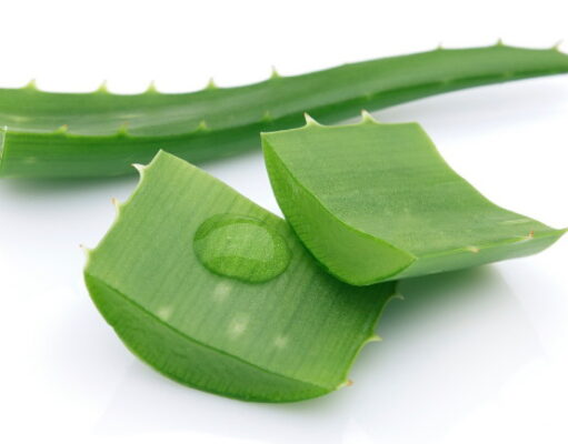 ประโยชน์ของว่านหางจระเข้