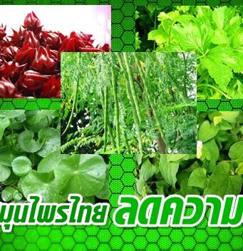 5 สมุนไพรไทย…พิชิตความดันโลหิตสูง