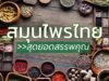 12 สมุนไพรไทยยอดนิยม สุดยอดของสรรพคุณ