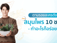 ตามรอยละครดัง ด้วย 10 สมุนไพรไทย ทำอะไรก็อร่อย