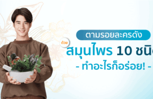 ตามรอยละครดัง ด้วย 10 สมุนไพรไทย ทำอะไรก็อร่อย