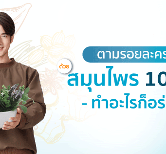 ตามรอยละครดัง ด้วย 10 สมุนไพรไทย ทำอะไรก็อร่อย