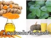 สมุนไพรต้านซึมเศร้า