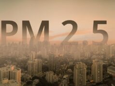 3 สมุนไพร สรรพคุณโดดเด่นช่วยบรรเทาผลกระทบ ฝุ่น PM2.5