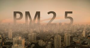 3 สมุนไพร สรรพคุณโดดเด่นช่วยบรรเทาผลกระทบ ฝุ่น PM2.5