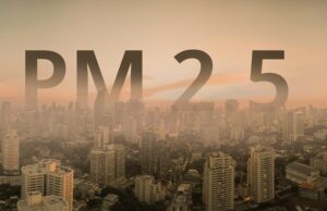 3 สมุนไพร สรรพคุณโดดเด่นช่วยบรรเทาผลกระทบ ฝุ่น PM2.5