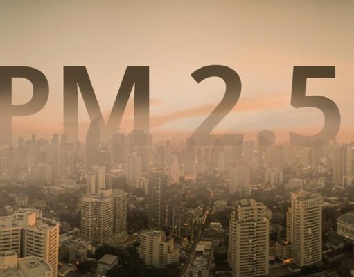 3 สมุนไพร สรรพคุณโดดเด่นช่วยบรรเทาผลกระทบ ฝุ่น PM2.5