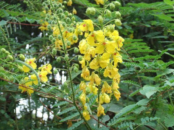 Saa7fdabb5d654caea0621c0595735223Y.jpg_720x720q80