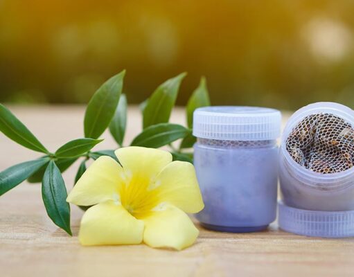 รู้หรือยัง? “ยาดมสมุนไพร” ไม่ได้มีดีแค่หอม แต่เต็มไปด้วยสรรพคุณที่ไม่ควรมองข้าม