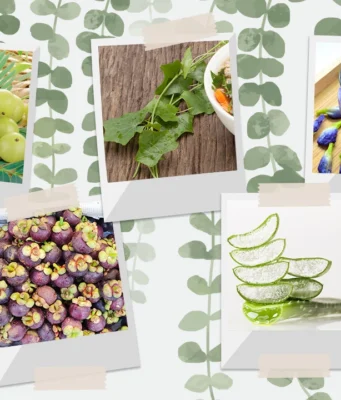 5 สมุนไพรดับกลิ่นตัวกลิ่นปาก สำหรับวัยรุ่นวัยทำงาน