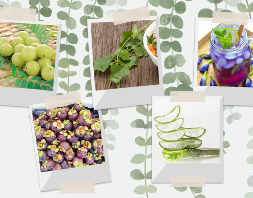 5 สมุนไพรดับกลิ่นตัวกลิ่นปาก สำหรับวัยรุ่นวัยทำงาน