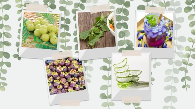 dFQROr7oWzulq5FZXUZ0M7Q9H5riDhtYzD7Rwk1t2sdjsIjh9GMbfcv4mPFriRqR3Jb