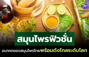“สมุนไพรฟิวชั่น” อนาคตของสมุนไพรไทย ที่พร้อมดังไกลระดับโลก