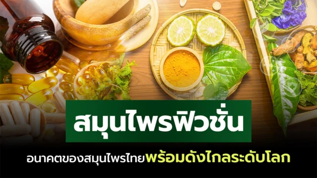 dFQROr7oWzulq5Fa6rBprk3iRoWtLBjVvqFlzBJHOA605KtKuOnv0JfD0A7rJsc8tdP