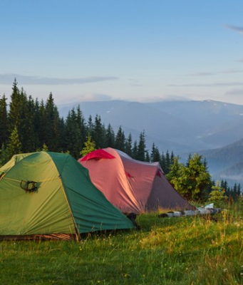 สมุนไพรคู่ใจสายแคมป์ ผู้ช่วยสำหรับนักเดินทาง