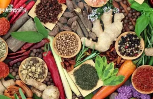 95% ผู้ป่วยโรคสะเก็ดเงิน อาการดีขึ้น ผลักดัน ‘ตำรับยาสมุนไพรปรุงเฉพาะราย’ รักษาฟรี