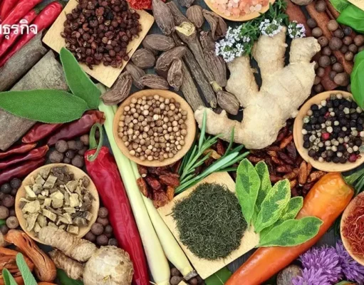 95% ผู้ป่วยโรคสะเก็ดเงิน อาการดีขึ้น ผลักดัน ‘ตำรับยาสมุนไพรปรุงเฉพาะราย’ รักษาฟรี