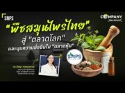 SNPS ยกระดับสมุนไพรไทยกาง 3 เสาหลักปี 69 มุ่ง Integrated Business มูลค่าสูง หลังโชว์กำไรปี 68 โตแรง