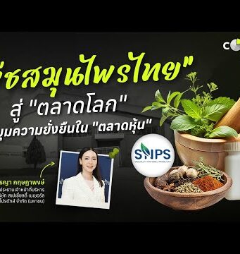 SNPS ยกระดับสมุนไพรไทยกาง 3 เสาหลักปี 69 มุ่ง Integrated Business มูลค่าสูง หลังโชว์กำไรปี 68 โตแรง