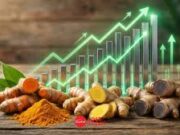 กลุ่มอุตสาหกรรมสมุนไพร ฝาก รัฐบาลใหม่ ยกระดับสมุนไพร“ภูมิปัญญา” สู่ “อุตสาหกรรม”