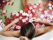 สมุนไพรดับกลิ่นตัว