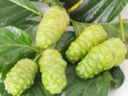 สมุนไพรรักษาโรคทางเดินอาหาร