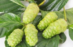 สมุนไพรรักษาโรคทางเดินอาหาร